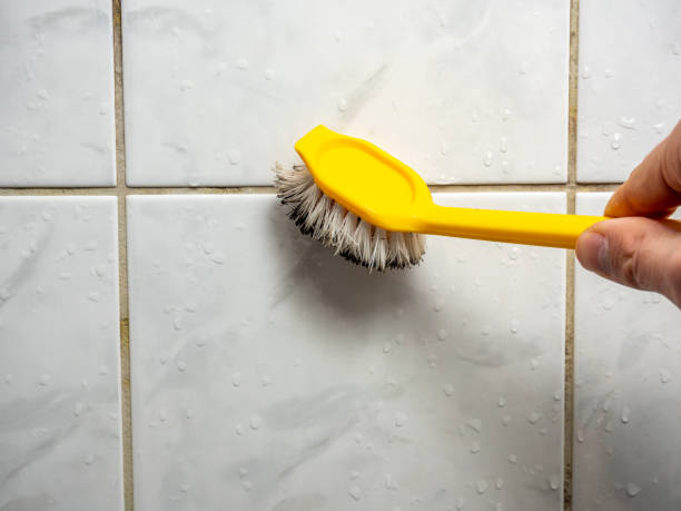 Best Water Damage Restoration  in Harlem, FL