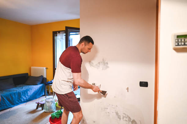 Best Mold Removal Specialists  in Harlem, FL